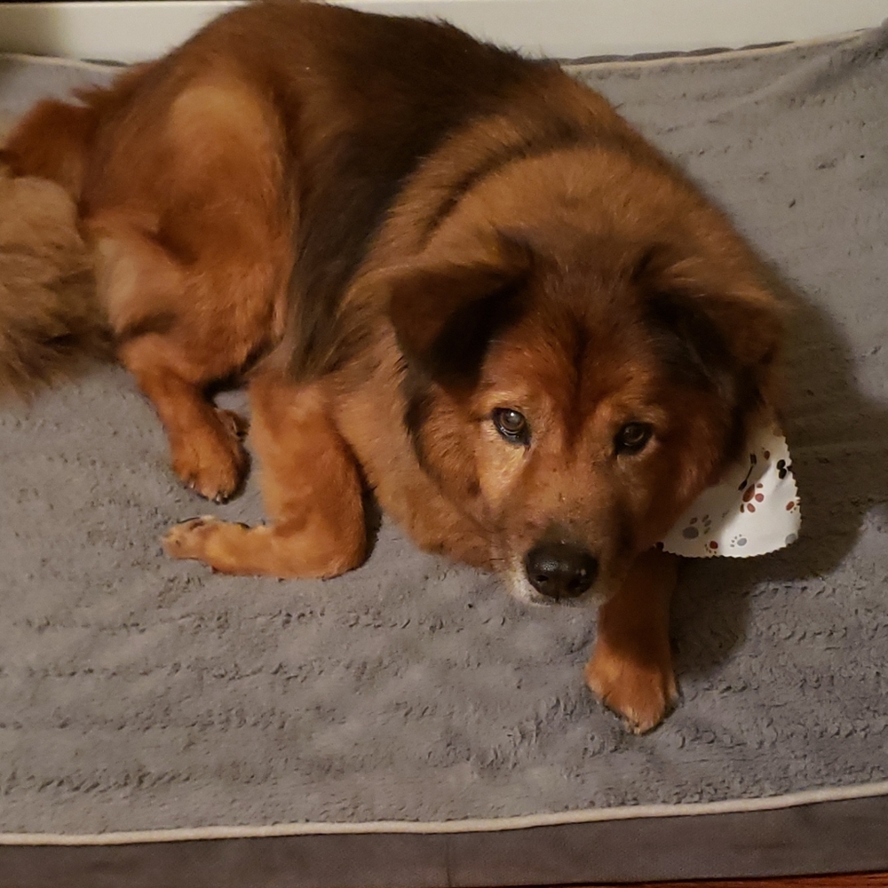 (Bookmark Me Here)-Meet your Posher, SandyπββοΈ - Picture 2 of 16